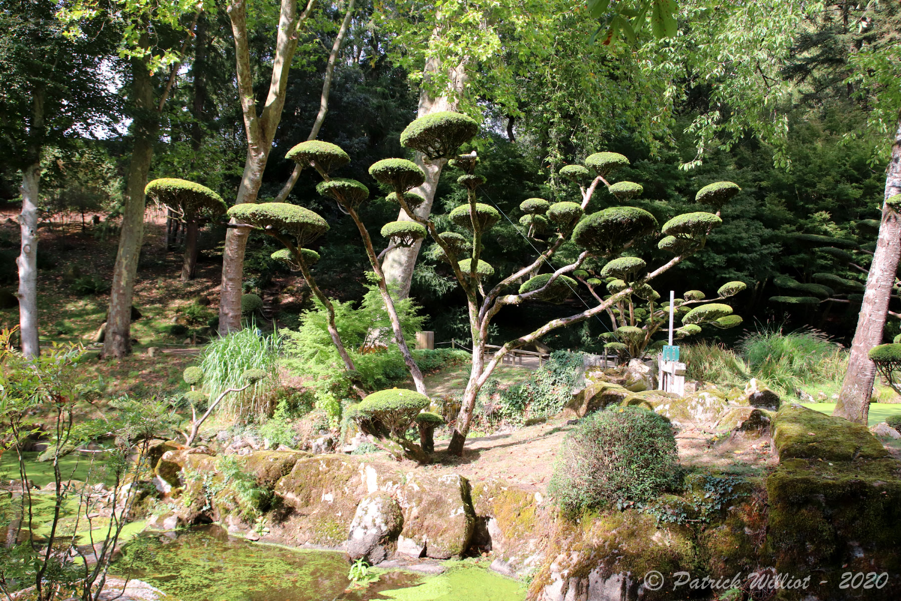 Parc Oriental, Maulevrier